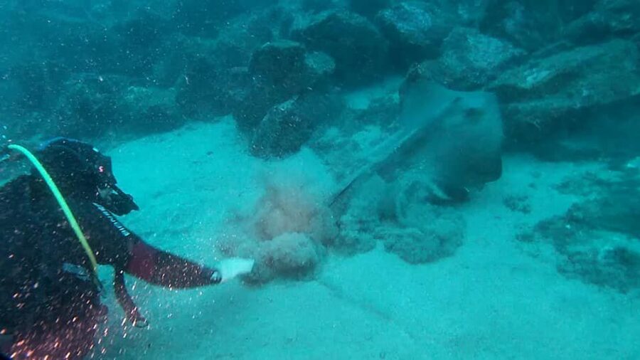 Catania: Gulf Scuba Diving Tour with Marine Biologist - What your first underwater session feels like