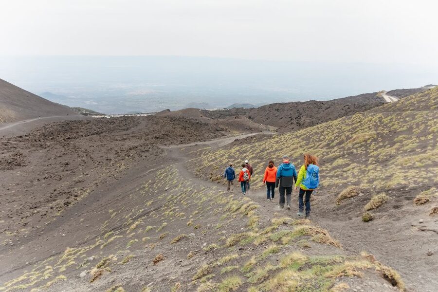 Catania: Mount Etna Morning or Sunset Day Trip with Tasting - Is $70 a good value?