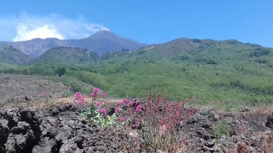 Catania: Mount Etna Sunset Tour and Etna Doc Wine - The 1792 lava flow and the route to Monte Pomiciaro