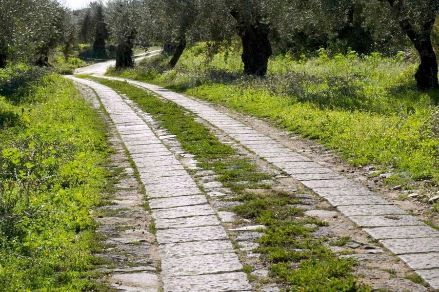 Catania: Pozzo di Gaspare Farm Guided Tour with Tastings - Key points to know before you go