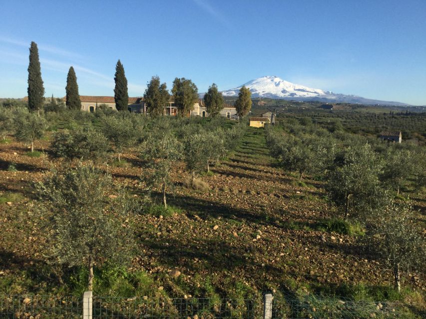Catania: Pozzo di Gaspare Farm Guided Tour with Tastings - What Giuseppe adds to the experience