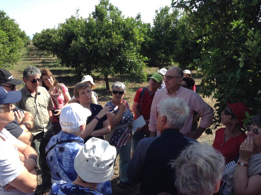 Catania: Pozzo di Gaspare Farm Guided Tour with Tastings - Is $41 a fair price?