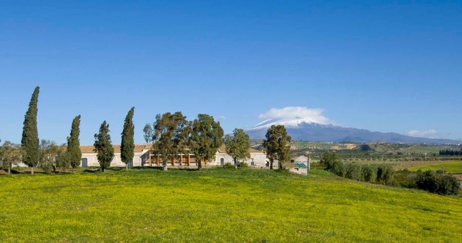 Catania: Pozzo di Gaspare Farm Guided Tour with Tastings - Best seasons, timing, and what to bring