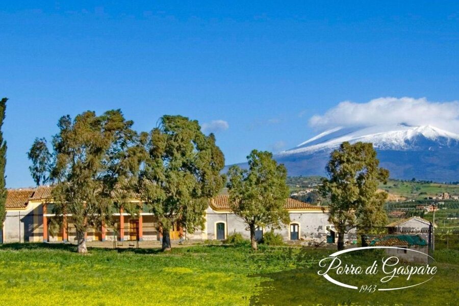 Catania: Pozzo di Gaspare Farm Guided Tour with Tastings - Should you book Pozzo di Gaspare?