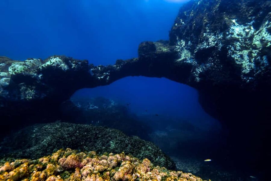 Catania: Scuba Diving Experience - Key points to know before booking