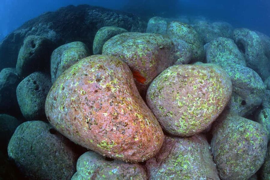 Catania: Scuba Diving Experience - Exploring lava rock, caves and marine life