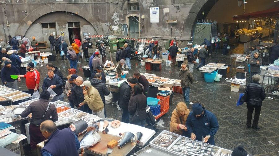Catania Street Food Tour: Fish Market & City Centre - What the guide adds to the experience