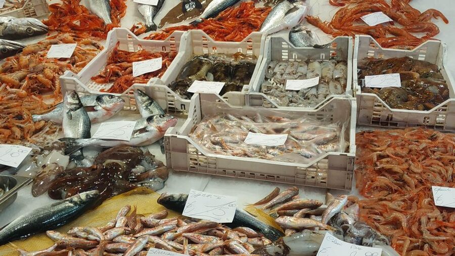 Catania Street Food Tour: Fish Market & City Centre - From fried fish to Catania’s city streets
