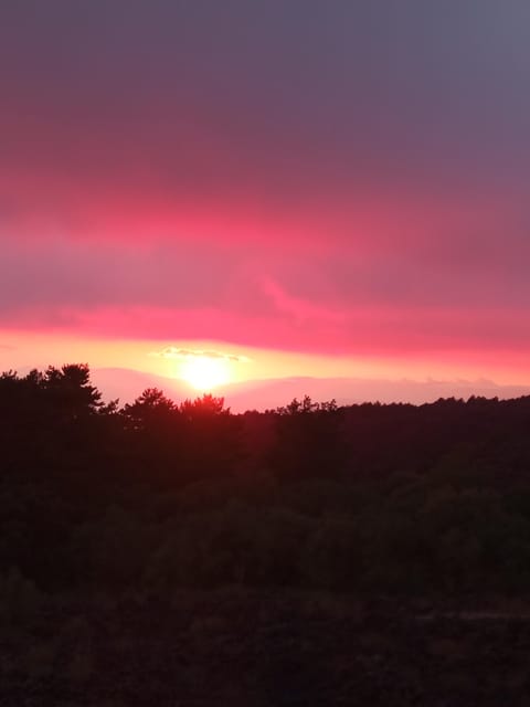 Catania: Sunset Trekking on Mount Etna with Wine Tasting - Seeing the Valle del Bove from above