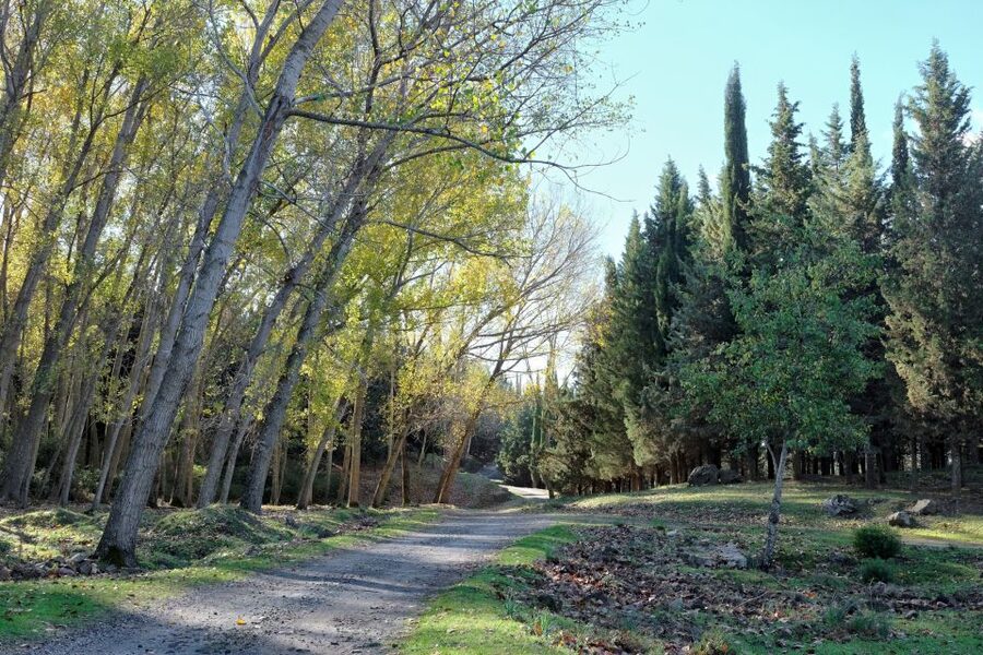 Cesarò: Full Day Tour of Nebrodi Park in a 4x4 - Key points at a glance