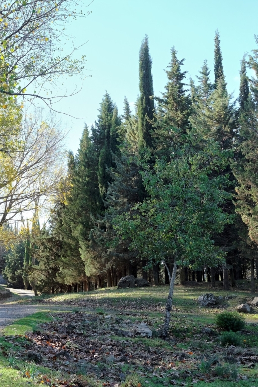 Cesarò: Full Day Tour of Nebrodi Park in a 4x4 - Who will enjoy this park day most