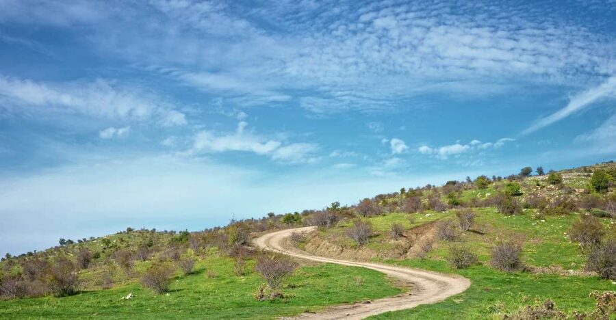 Cesarò: Full Day Tour of Nebrodi Park in a 4x4 - Riding the forest tracks toward Mount Soro