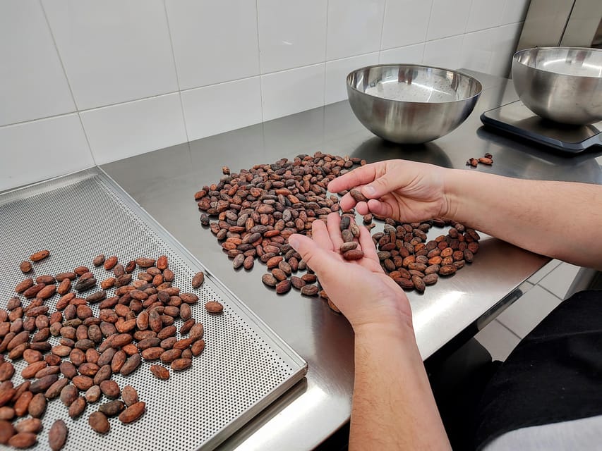 Chocolatier for a day: raw bean to bar chocolate in Modica - Tasting cacao at every stage