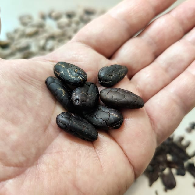 Chocolatier for a day: raw bean to bar chocolate in Modica - Is $94 a fair price?