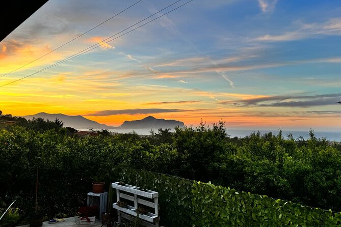 Cooking class in a villa with Palermo view - What the $139.13 price buys you