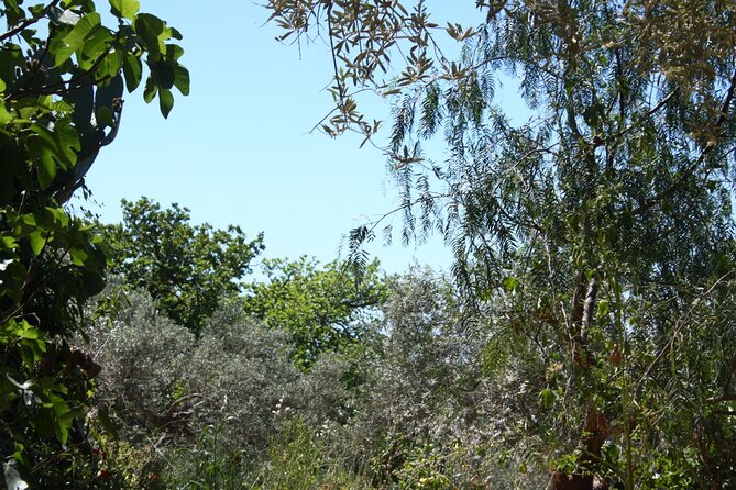 Cooking class in the countryside with Simona - Who will enjoy this cooking class most
