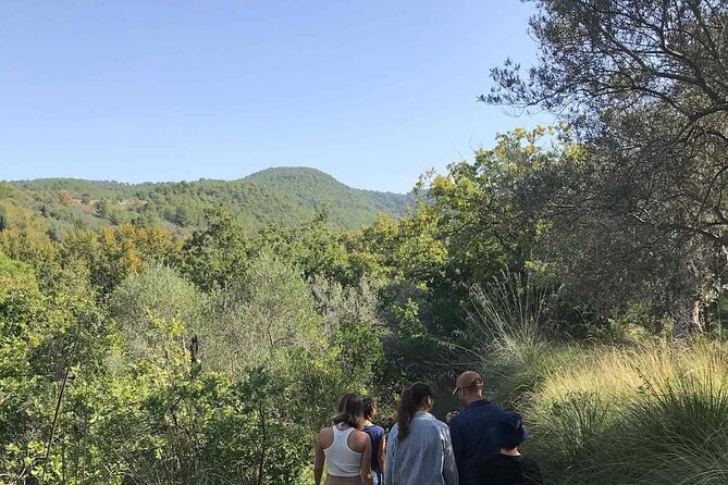 Cooking class in the countryside with Simona - What you may cook, from scacce to handmade pasta