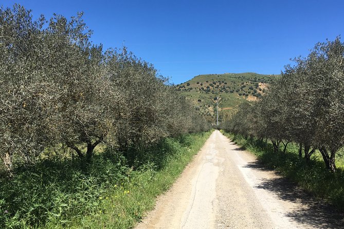 Daily Biking in the Rural Sicily - Returning from Termini Imerese