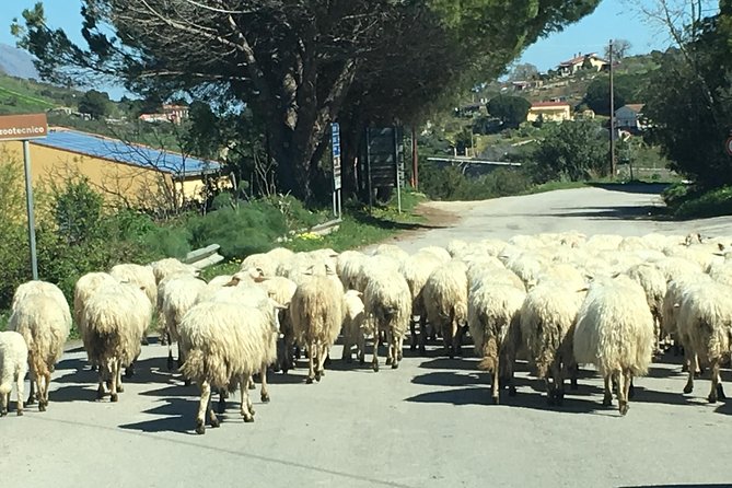 Daily Biking in the Rural Sicily - Pedaling through Roccapalumba and Regalgioffoli