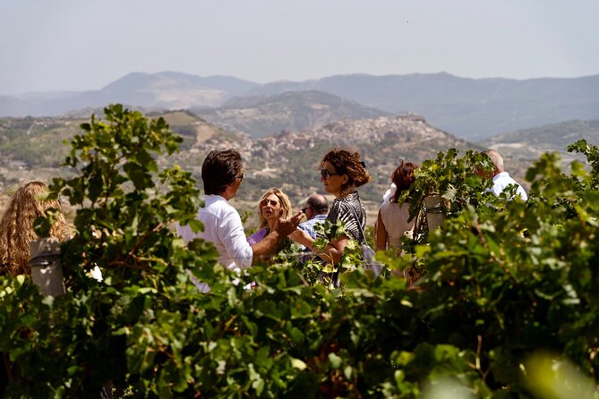 Di Giovanna Winery Tour & 3 Wine Tasting - A family winery above Sambuca di Sicilia
