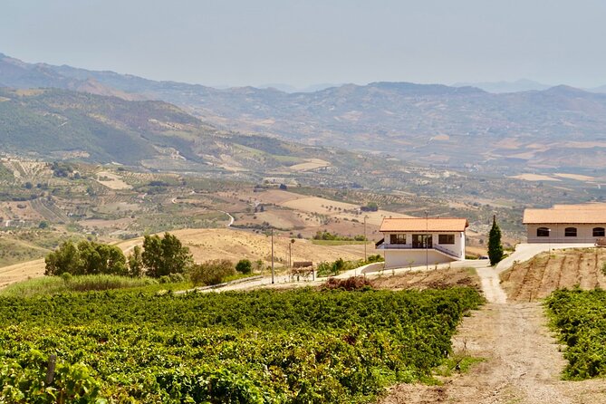 Di Giovanna Winery Tour & 5 Wine Tasting - Five wines from Vurria and Helios