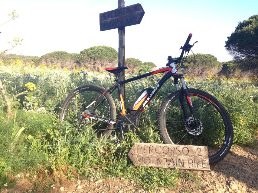 Discover MtPellegrino with a PRIVATE Guided Bike Tour - Is the $106 price good value?
