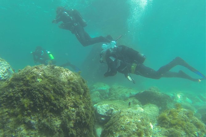 Discover scuba diving - Thirty minutes underwater at a maximum of 12 meters