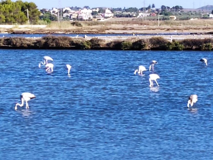 Discover Trapani's Saltpans with an E-Bike Tour - Starting at Via Osorio with an e-bike