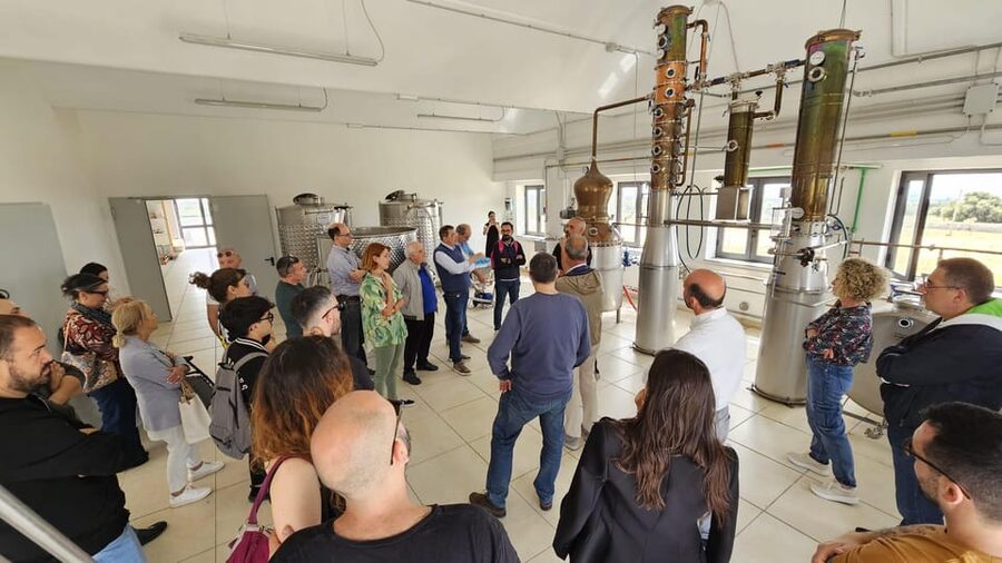 Distilleria Alma- Rum Distilery Guided Tour & Tasting - Distillation, maturation, and aging explained