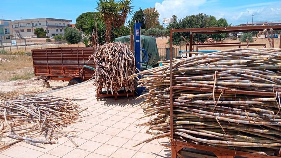 Distilleria Alma- Rum Distilery Guided Tour & Tasting - What the tasting tells you about Sicilian identity