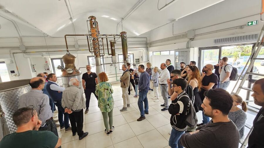 Distilleria Alma- Rum Distilery Guided Tour & Tasting - Planning your visit to the distillery