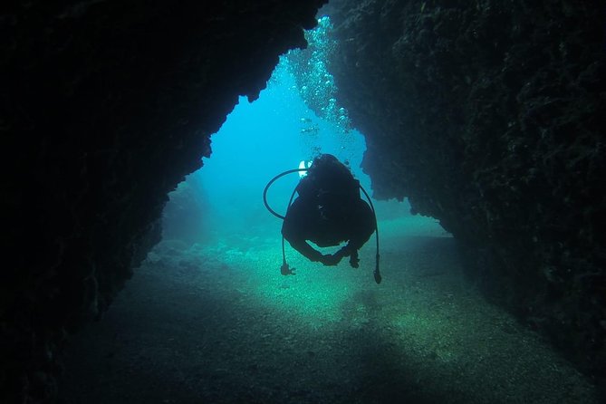 Diving for patented divers - Is $157.28 a fair price?
