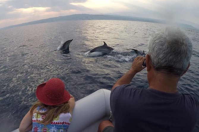 Dolphin Watching & Conservation - Dolphins in the Gulf of Catania - Leaving Catania with Mount Etna in view