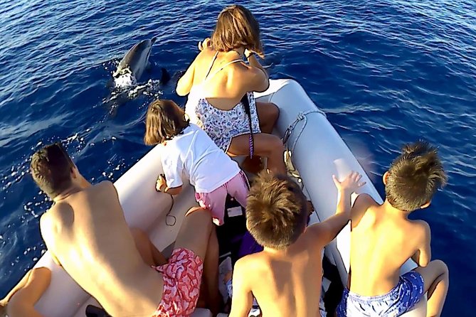 Dolphin Watching & Conservation - Dolphins in the Gulf of Catania - What the boat is really like