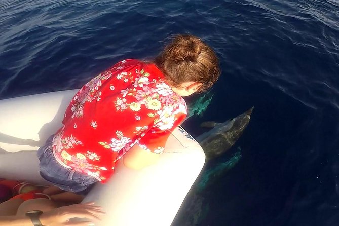 Dolphin Watching & Conservation - Dolphins in the Gulf of Catania - What you learn from the marine biologist