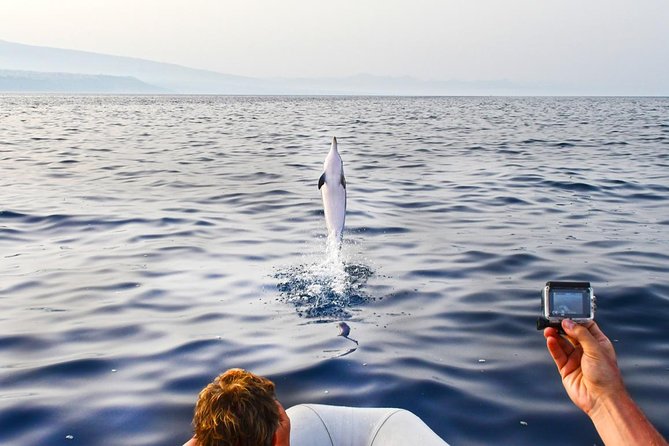 Dolphin Watching & Conservation - Dolphins in the Gulf of Catania - Aci Trezza and the volcanic coast