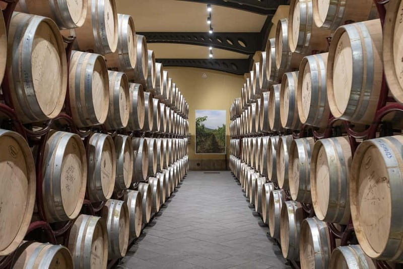 Duca di Salaparuta: Tour of the winery and wine tastings - Tasting five Sicilian wines