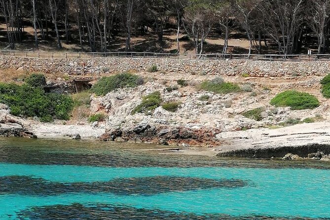 Egadi Islands Boat Tour: Favignana and Levanzo with Lunch - Lunch beside the Florio tuna factory