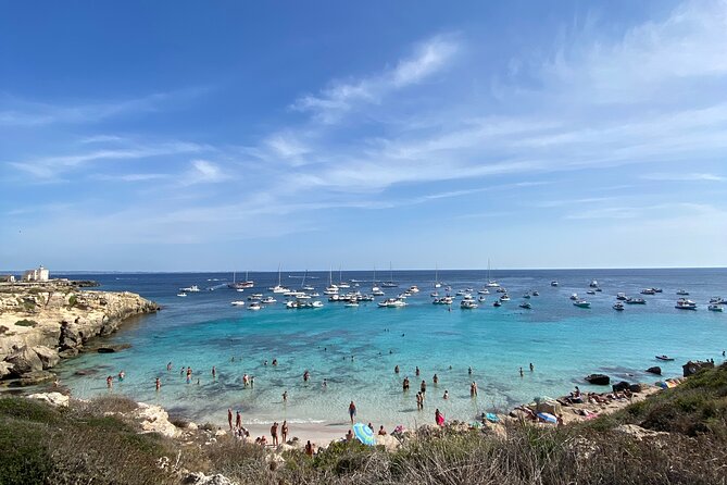Egadi Shuttle Tour to Favignana and Levanzo from Trapani - Who should book this Egadi Islands trip?