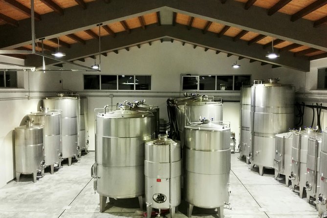 Embark on a Sicilian Wine Journey - Key points at a glance