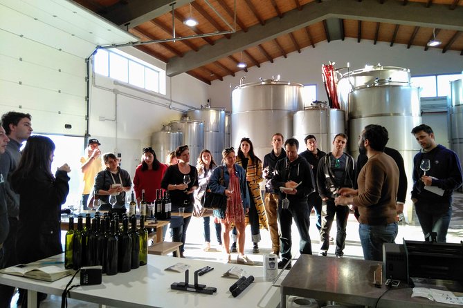 Embark on a Sicilian Wine Journey - Three wines, local food, and tank samples