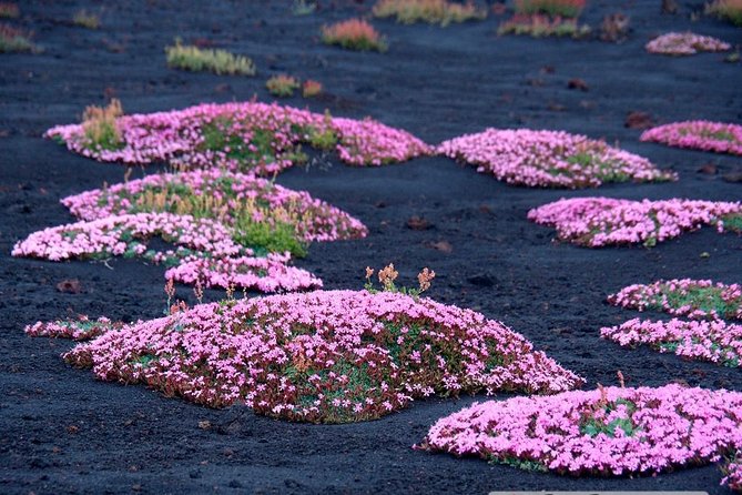 Etna 3000 from the south with Cable Car and trekking – Morning or Afternoon - Lava fronts from 2018 and the view into Valle del Bove