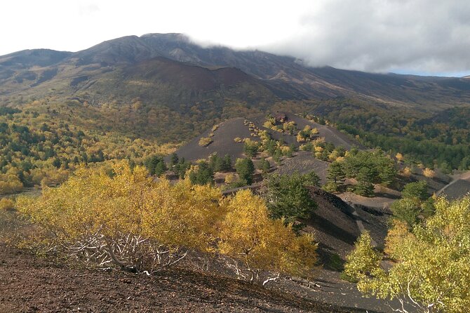 Etna & Alcantara - Piano Provenzana and the taste of the mountain