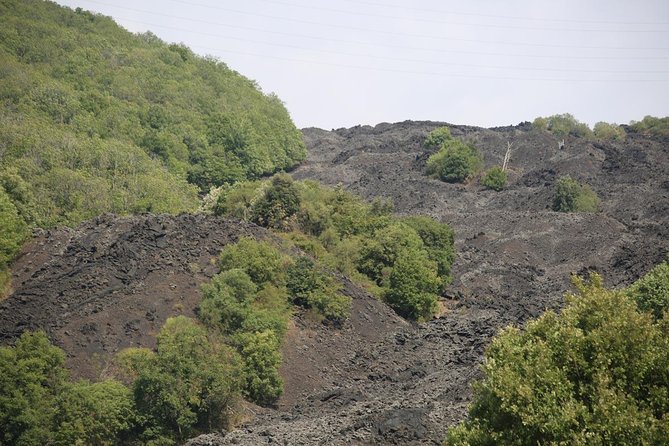 Etna & Alcantara Tour Experience - What the $191.58 price really covers