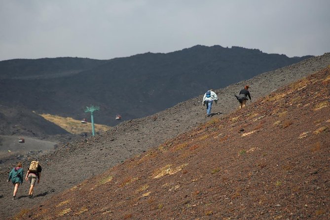 Etna & Alcantara Tour Experience - Guides make the geology easier to understand
