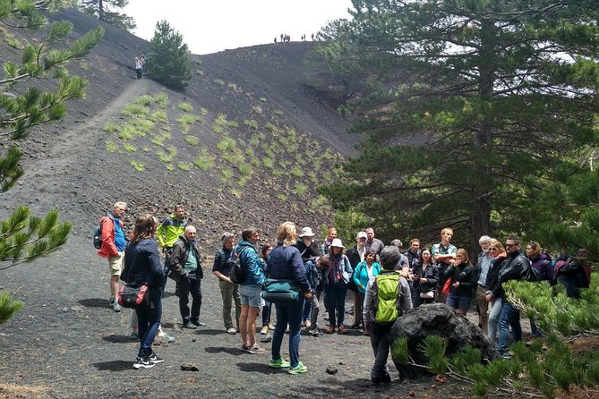 Etna Alcantara tour: the majestic lava landscape - The sightseeing details around Messina