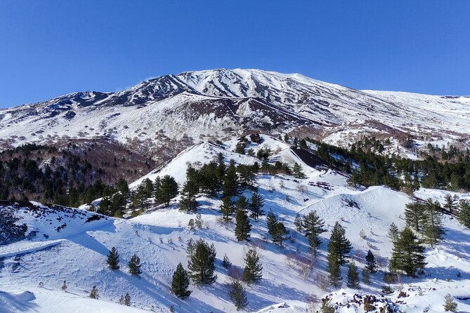 Etna and Alcantara Gorges Excursion - A local Etnean lunch included in the price