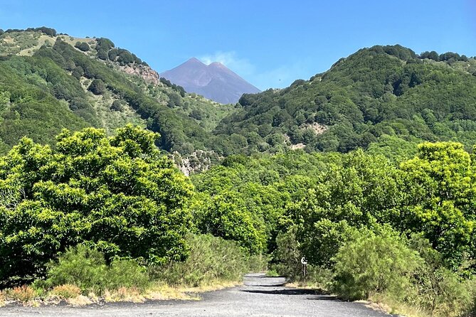 ETNA and TAORMINA departing from PALERMO, Private Tour - Why this makes sense from Palermo