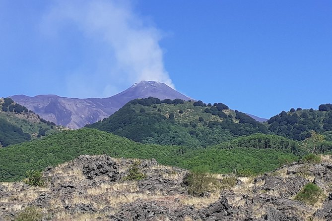 Etna and Taormina Tour from Messina harbour - What the guide can add