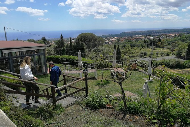 Etna and Wines Tour - The guides and the small-group format